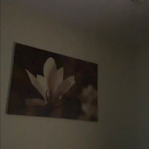 Meet your Posher, Pierre